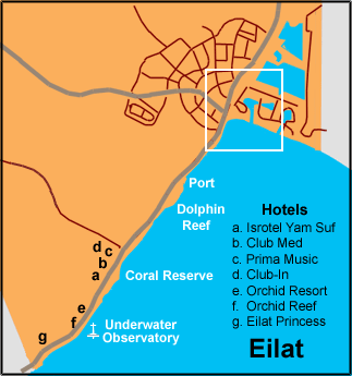 South Map